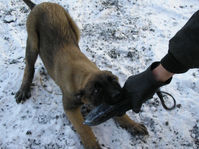 Publication : des sources de cuy Auteur : nathalie