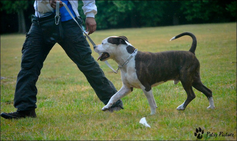Publication : des terres indiennes