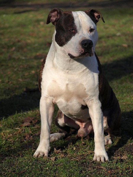 Publication : des terres indiennes