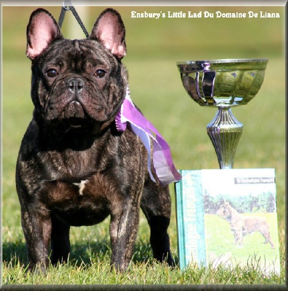 Publication : de trebuh'lls passion Auteur : alexin lambert