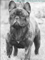 Publication : de trebuh'lls passion Auteur : alexin lambert