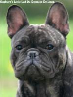 Publication : de trebuh'lls passion Auteur : alexin lambert