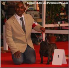 Publication : de trebuh'lls passion Auteur : alexin lambert