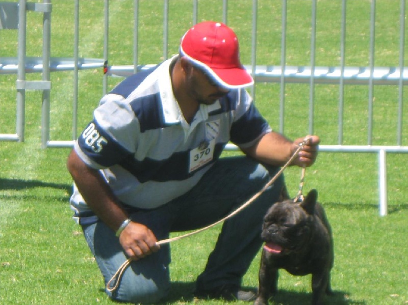 Ensbury's little lad Du domaine de liana - excellent