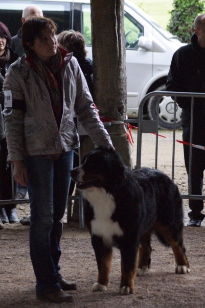 Fénomène de la vallée de la Veude - 3ème Excellent