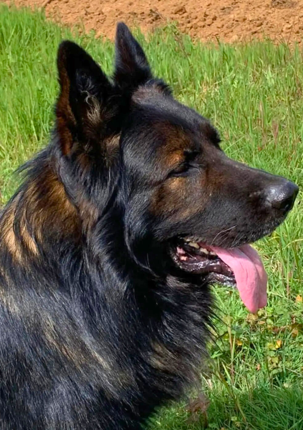 Publication : du clos Chalis