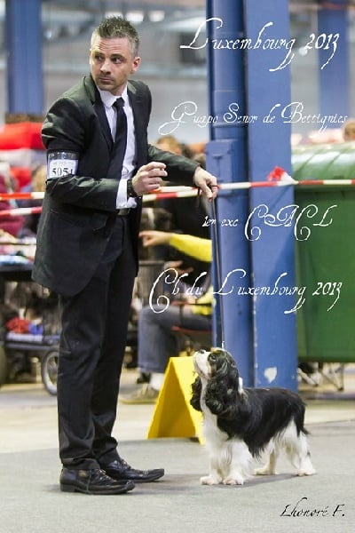 CH. Guapo senor de Bettignies - 1er exc Classe Inter