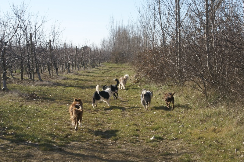 Opale des Terres d'Overcoss