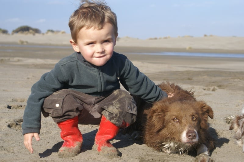 Opale des Terres d'Overcoss