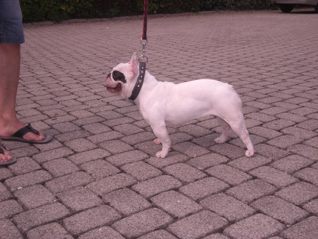 Publication : du Vallon de Beaumont Auteur : Emilie Garcia