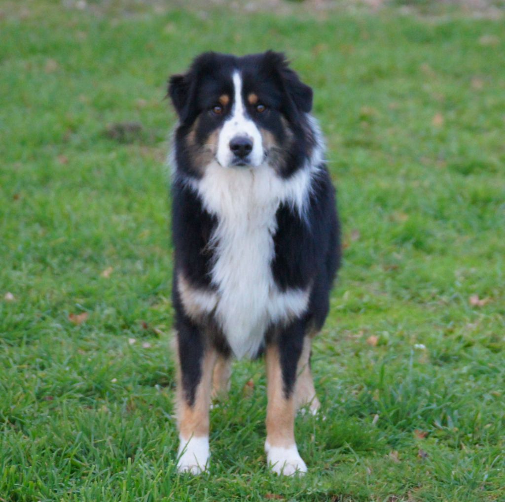 Publication : du Serre des Rands Auteur : Frédéric Ducros