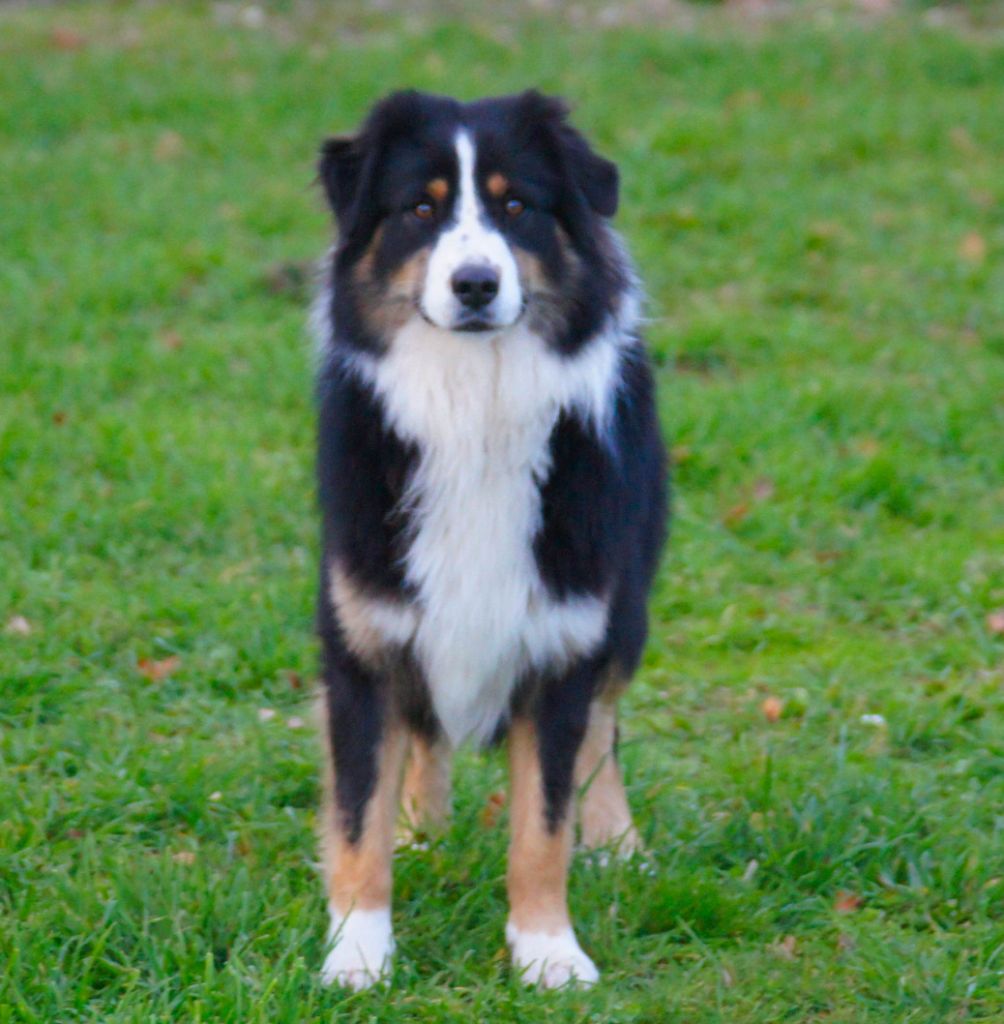 Publication : du Serre des Rands Auteur : Frédéric Ducros