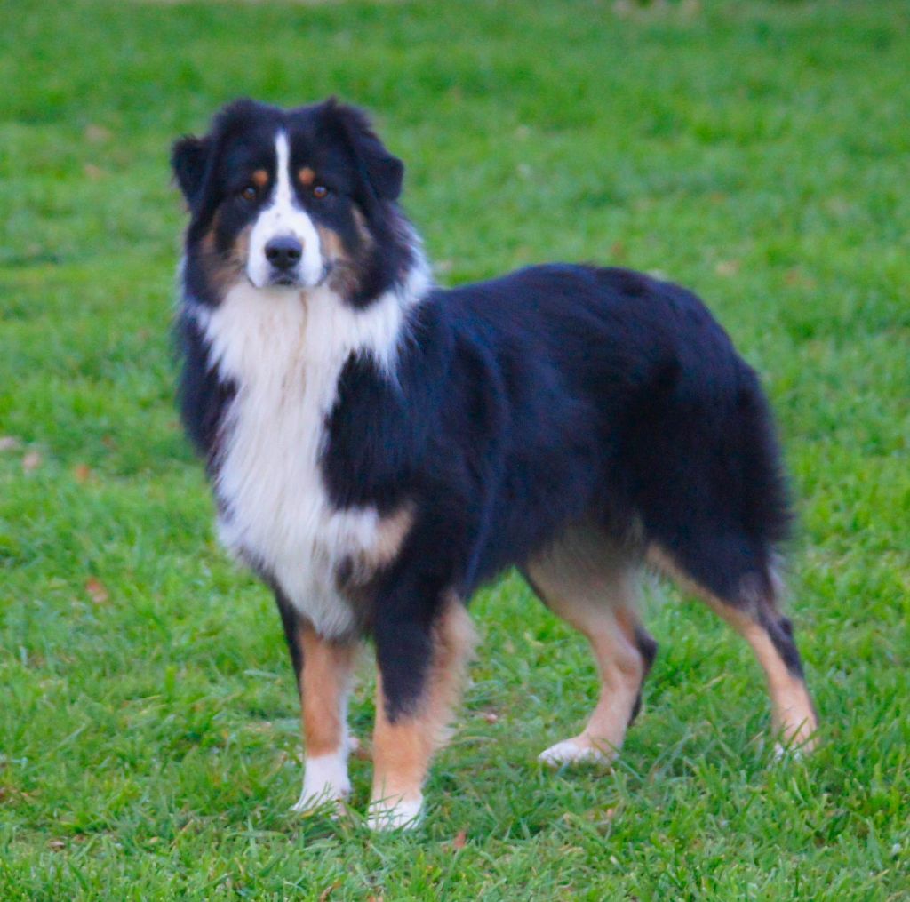 Publication : du Serre des Rands Auteur : Frédéric Ducros