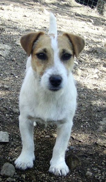 Elsa du creux du nant - Meilleur Jeune Du groupe 3