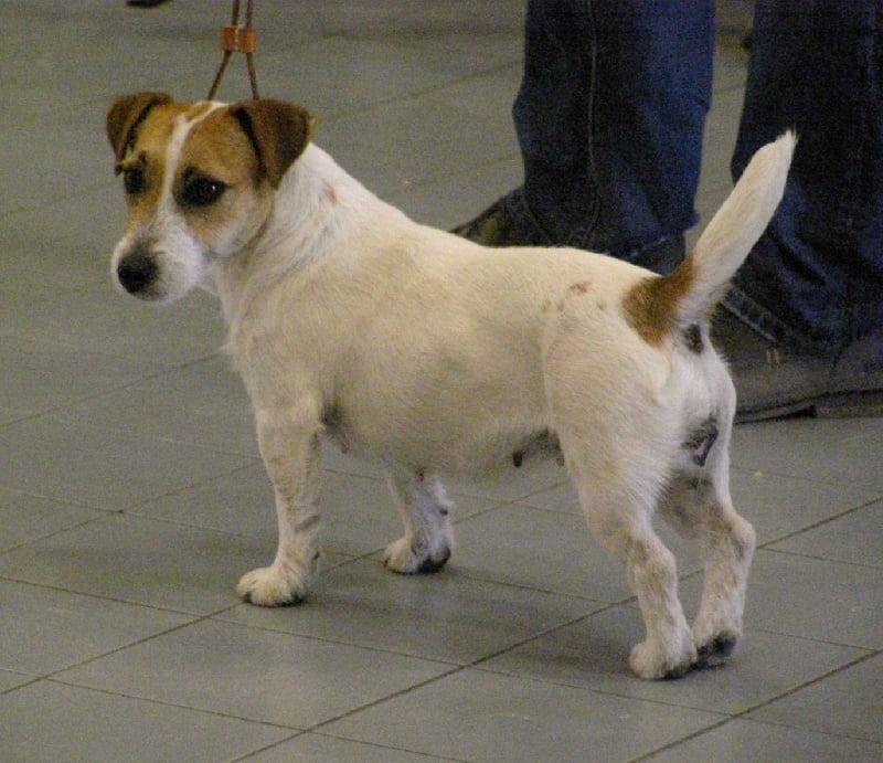 Elsa du creux du nant - Rcacs