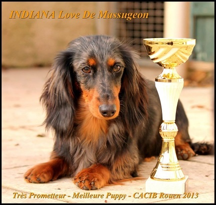 Indiana love de Massugeon