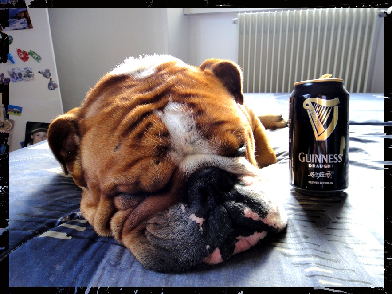 Dolce del vulcano bianco