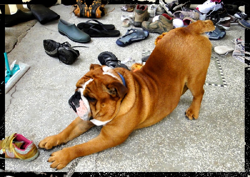 Dolce del vulcano bianco