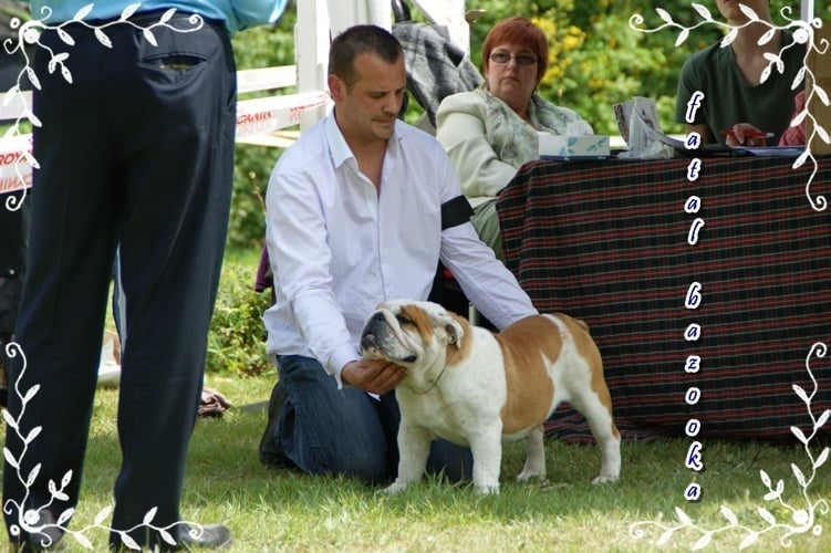 CH. Fatal bazooka de la plaine du chêne saint martin - Très bon + TAN