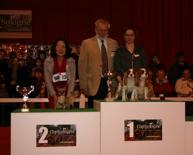 Hiamovi Souvenir Cheyenne - 2ème meilleur couple toutes races