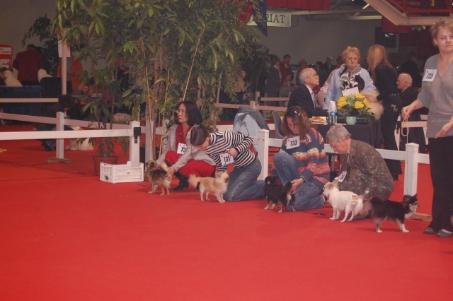 Balkan des Korrigans de la Lande - EXCELLENT