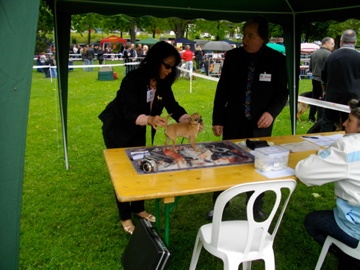 Hiamovi Souvenir Cheyenne - EXCELLENT