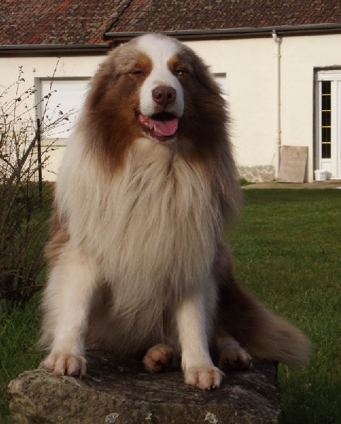 Publication : of Cree's River