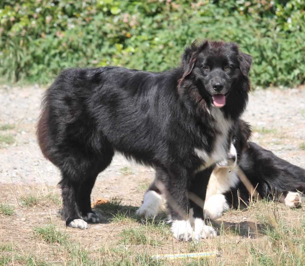 Ultimate hope of Cree's River