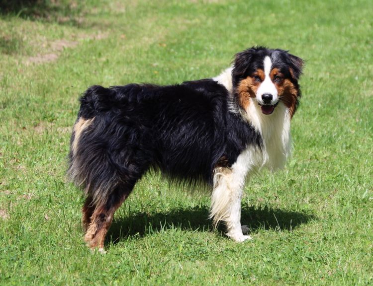 Publication : of Cree's River Auteur : OF CREE'S RIVER