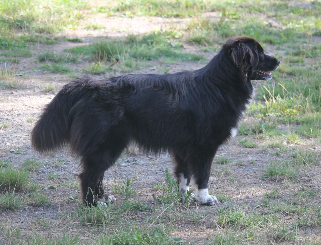 Ultimate hope of Cree's River