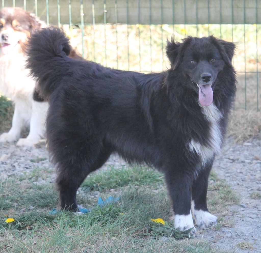 Ultimate hope of Cree's River