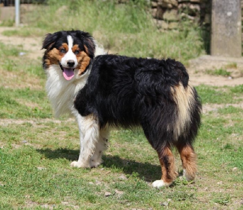 Publication : of Cree's River Auteur : OF CREE'S RIVER