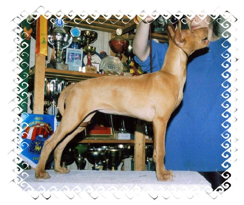 Publication : Ozymankia's Auteur : Photo GAD