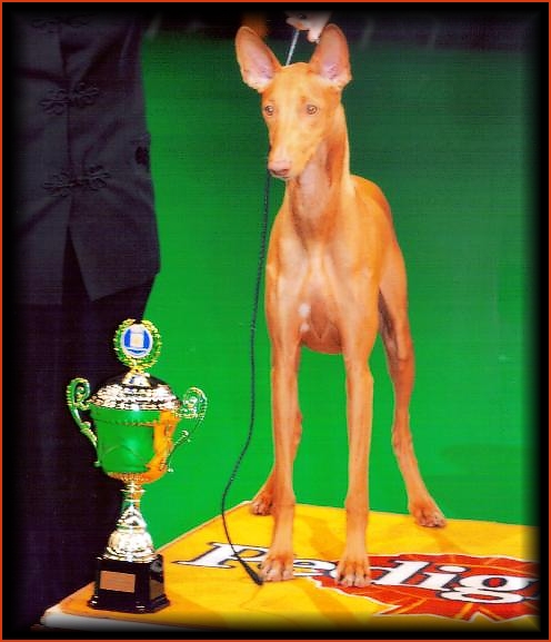 Publication : Ozymankia's Auteur : Photo GAD