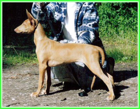 Publication : Ozymankia's Auteur : Photo GAD