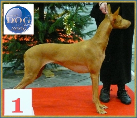 Publication : Ozymankia's Auteur : Photo GAD