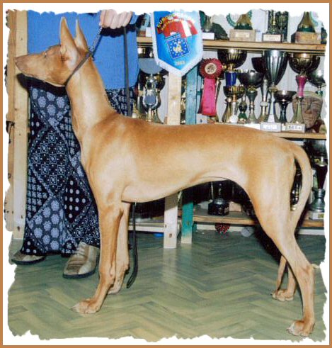 Publication : Ozymankia's Auteur : Photo GAD