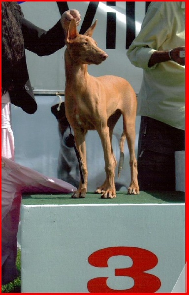 Publication : Ozymankia's Auteur : Photo GAD