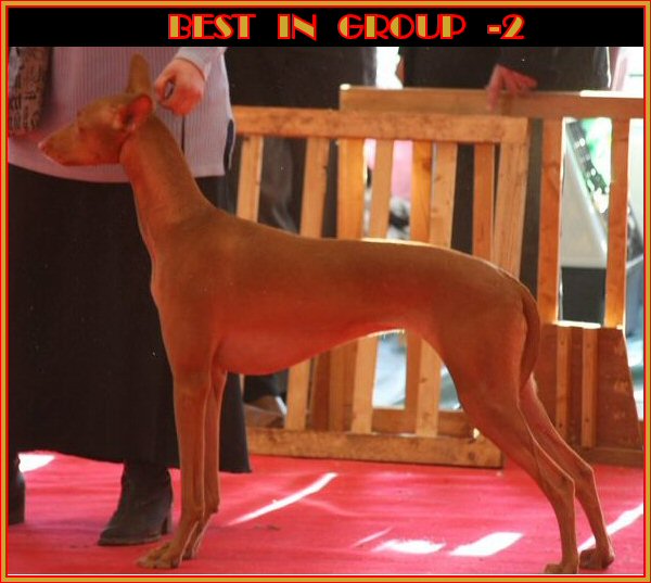 Publication : Ozymankia's Auteur : Photo GAD