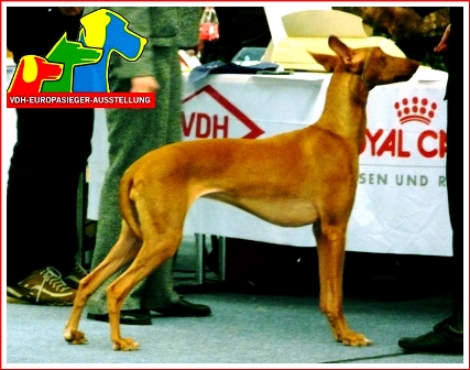 Publication : Ozymankia's Auteur : Photo GAD