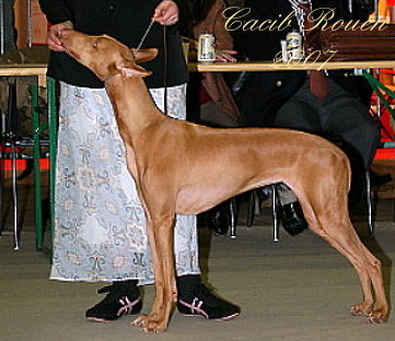 Publication : Ozymankia's Auteur : Photo GAD