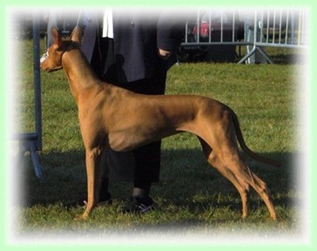 Publication : Ozymankia's Auteur : Photo GAD