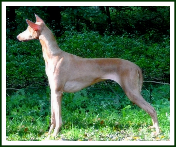 Publication : Ozymankia's Auteur : Photo GAD