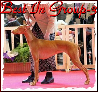 Publication : Ozymankia's Auteur : Photo GAD