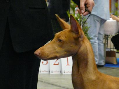 Publication : Ozymankia's Auteur : Photo GAD