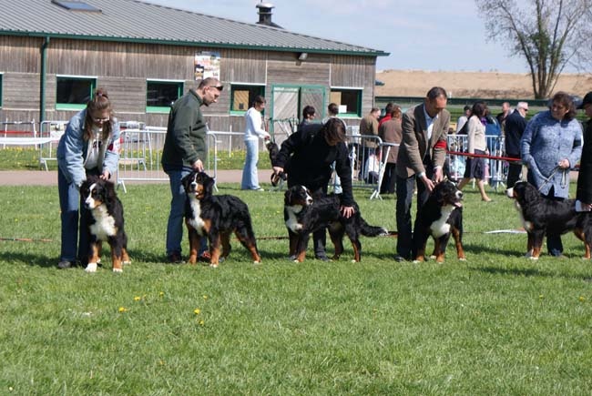 CH. Emy for ever De la chalerie - 3eme TP