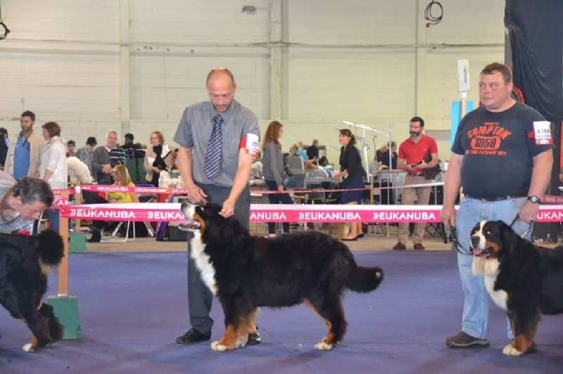 Isa bella De la chalerie - 4 ème exc