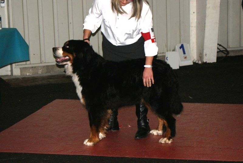 Isa bella De la chalerie - 2ème excellent