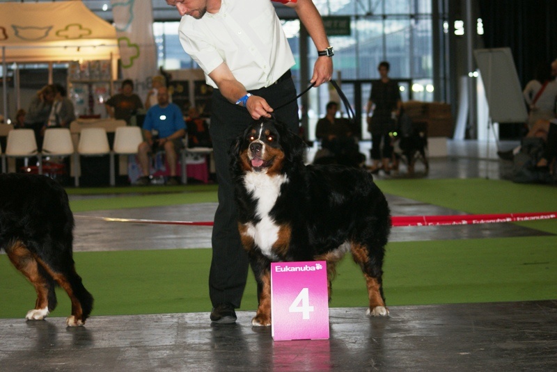 CH. Emy for ever De la chalerie - 4eme Exc.