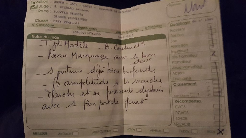 Doushka angyalosi berni - 1ere TP meilleur baby